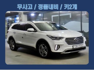 현대 더뉴맥스크루즈