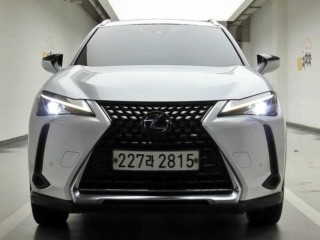 렉서스 UX 250h