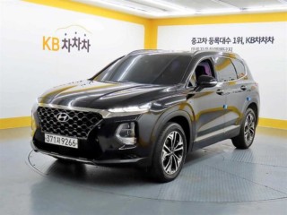 현대 싼타페 TM