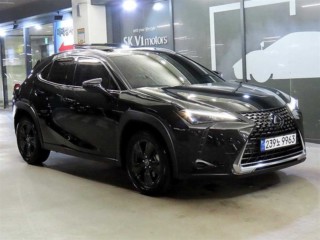 렉서스 UX 250h