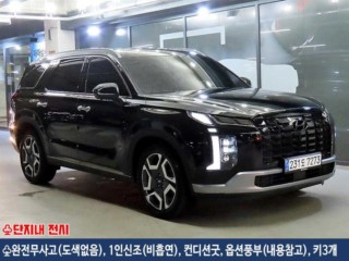 현대 더 뉴 팰리세이드