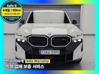 BMW XM (G09)
