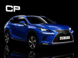 렉서스 NX 300h