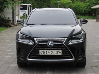 렉서스 NX 300h