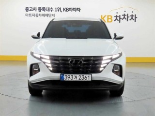 현대 투싼 (NX4)