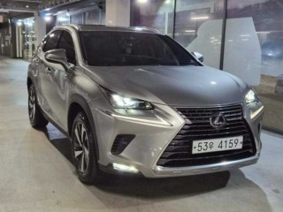 렉서스 NX 300h
