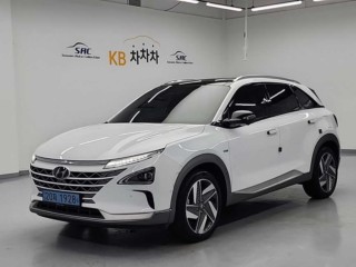 현대 넥쏘