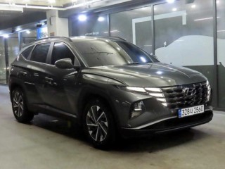 현대 더 뉴 투싼 (NX4)