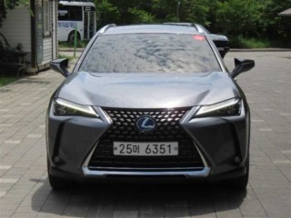 렉서스 UX 250h