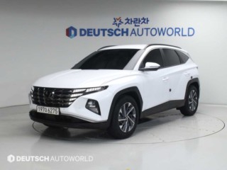 현대 투싼 (NX4)
