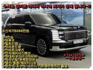 현대 디 올 뉴 팰리세이드