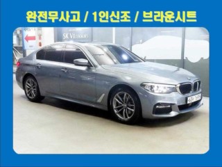 BMW 5시리즈 (G30)