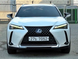 렉서스 UX 250h
