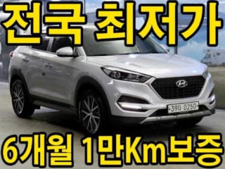 현대 올뉴투싼