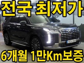 현대 더 뉴 팰리세이드