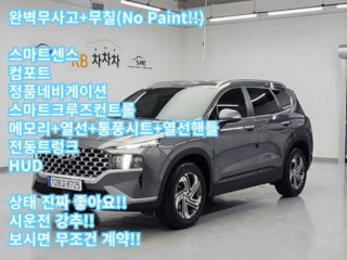 현대 더 뉴 싼타페