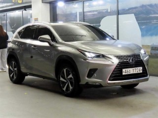 렉서스 NX 300h