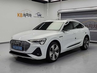 아우디 e-트론