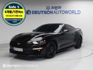 포드 머스탱
