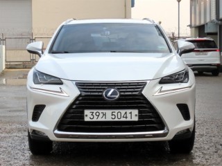렉서스 NX 300h