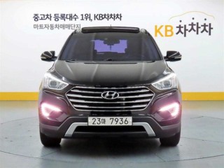 현대 맥스크루즈