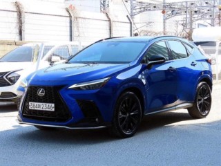 렉서스 NX 450h+