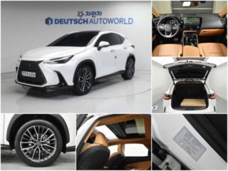 렉서스 NX 350h
