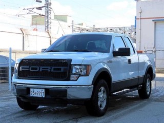 포드 F150
