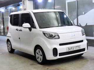 기아 더 뉴 레이