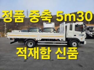 중대형화물 카고(4.5~5톤)