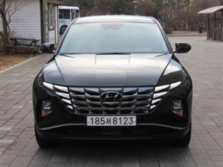 현대 투싼 (NX4)