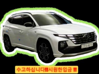 현대 투싼 (NX4)