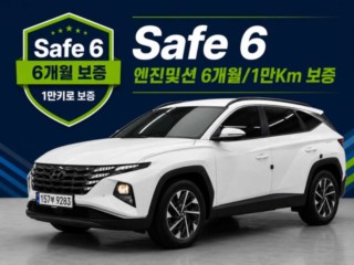 현대 투싼 (NX4)