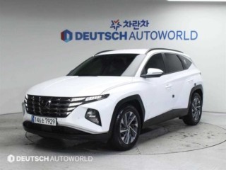 현대 투싼 (NX4)