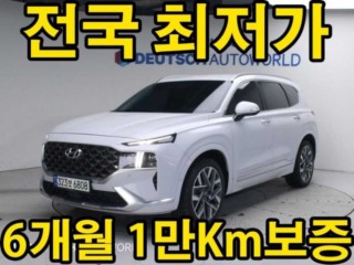 현대 더 뉴 싼타페