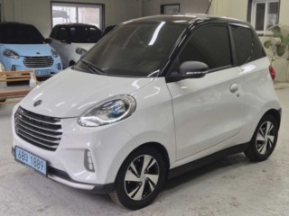 기타제조사 SMART EV