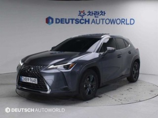 렉서스 UX 300h