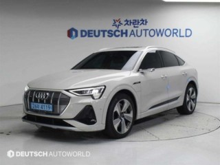 아우디 e-트론