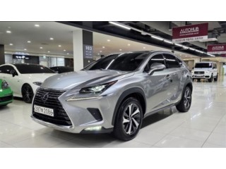 렉서스 NX 300h