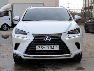 렉서스 NX 300h