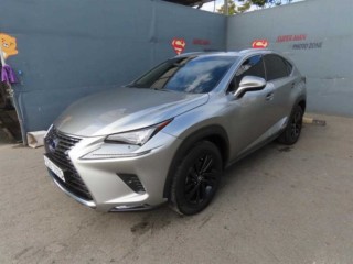 렉서스 NX 300h