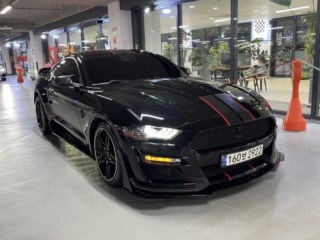 수원 중고차 포드 머스탱 GT 쿠페 2020.06식 133,315km